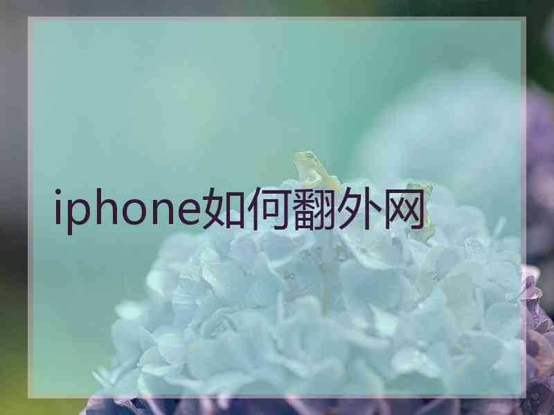 iphone如何翻外网