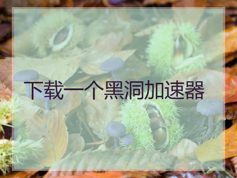 下载一个黑洞加速器
