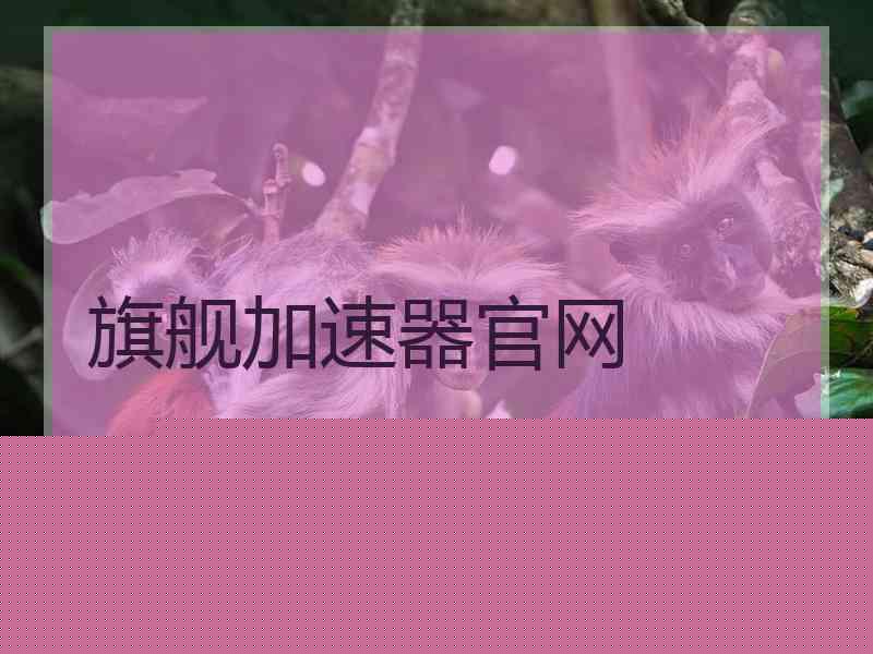 旗舰加速器官网