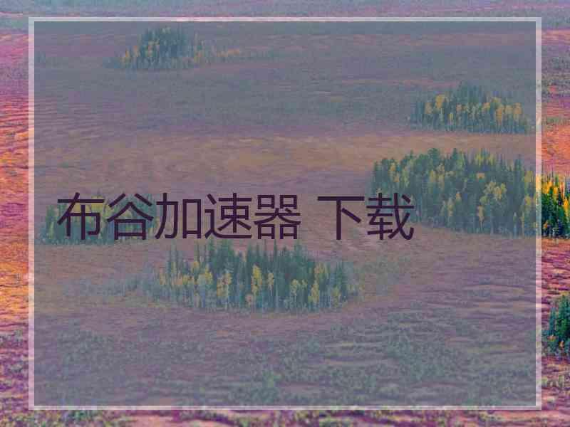 布谷加速器 下载